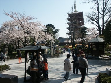 Senso Temple Asakusa - Goju no to.