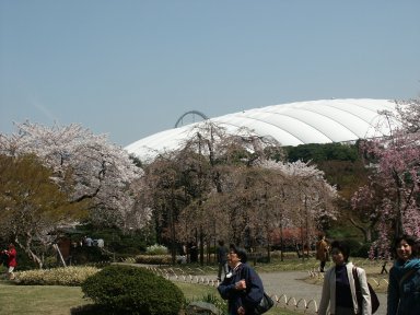 Korakuen Garden and the Tokyo Dome
