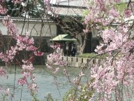 Korakuen Garden and the Tokyo Dome