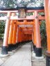 Torii gate 1