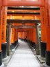 Torii gate 3